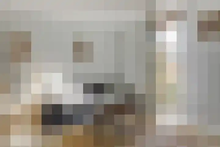 Oostwal 202 B Oss thumbnail 4