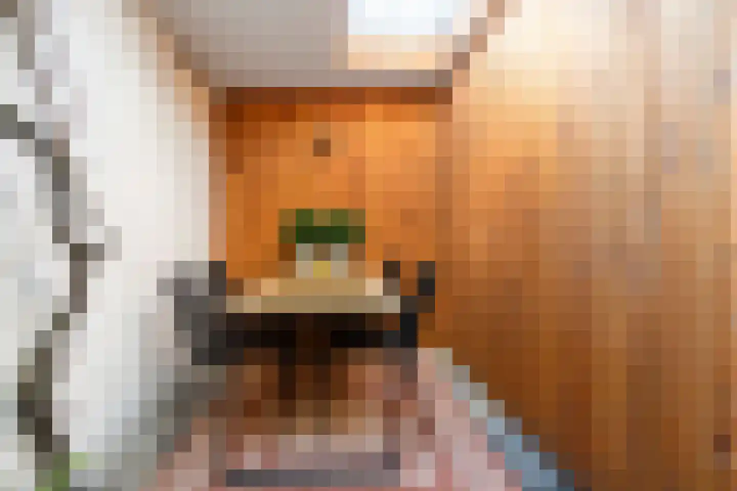 Oostwal 202 B Oss thumbnail 45
