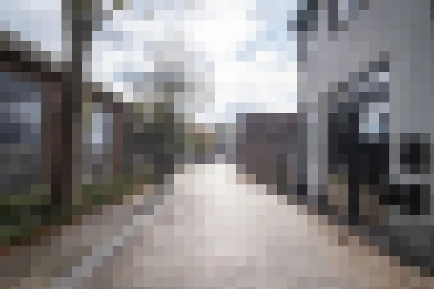 Oostwal 3 a Leerdam thumbnail 24