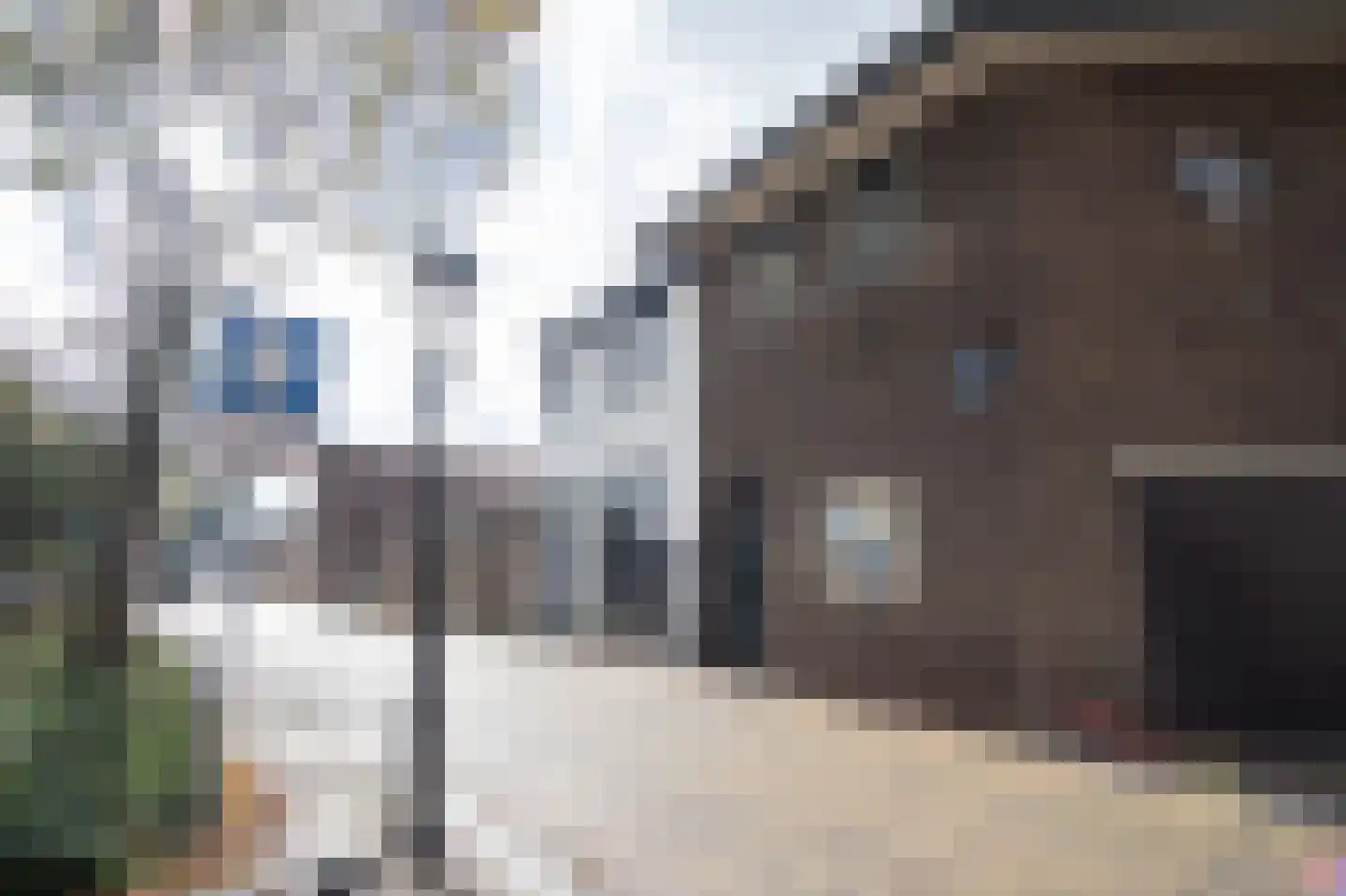 Oostwal 3 a Leerdam thumbnail 25