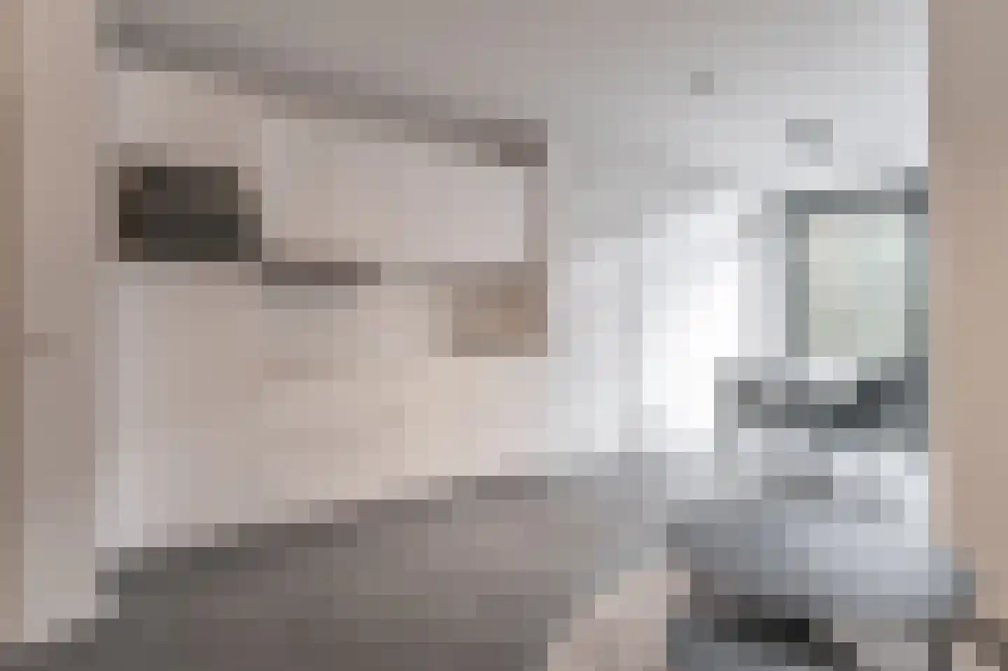 Oostwal 3 a Leerdam thumbnail 9