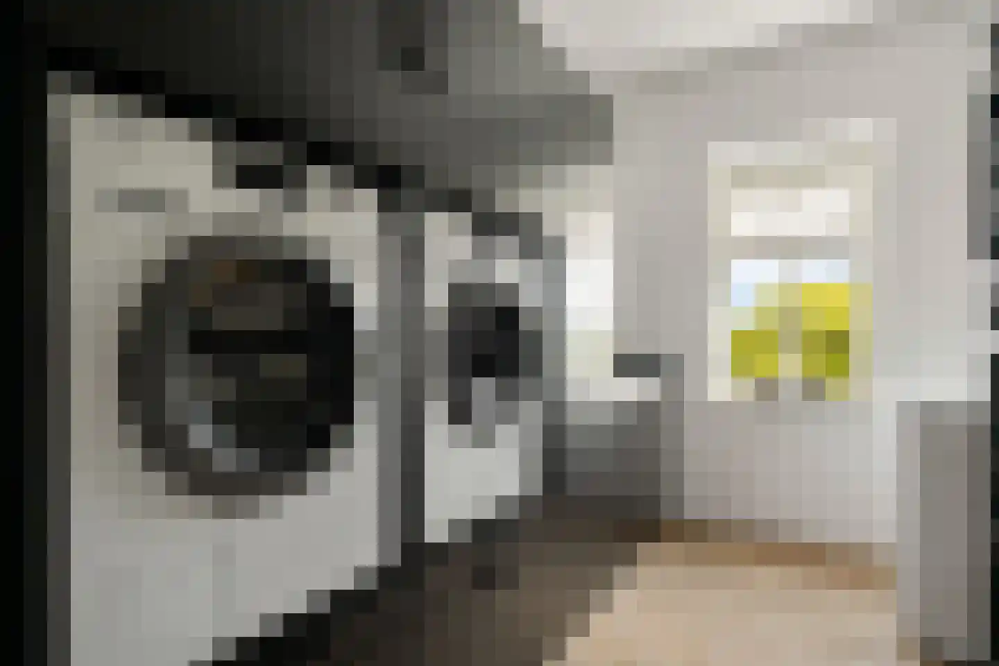 Oostwal 32 C Ootmarsum thumbnail 13