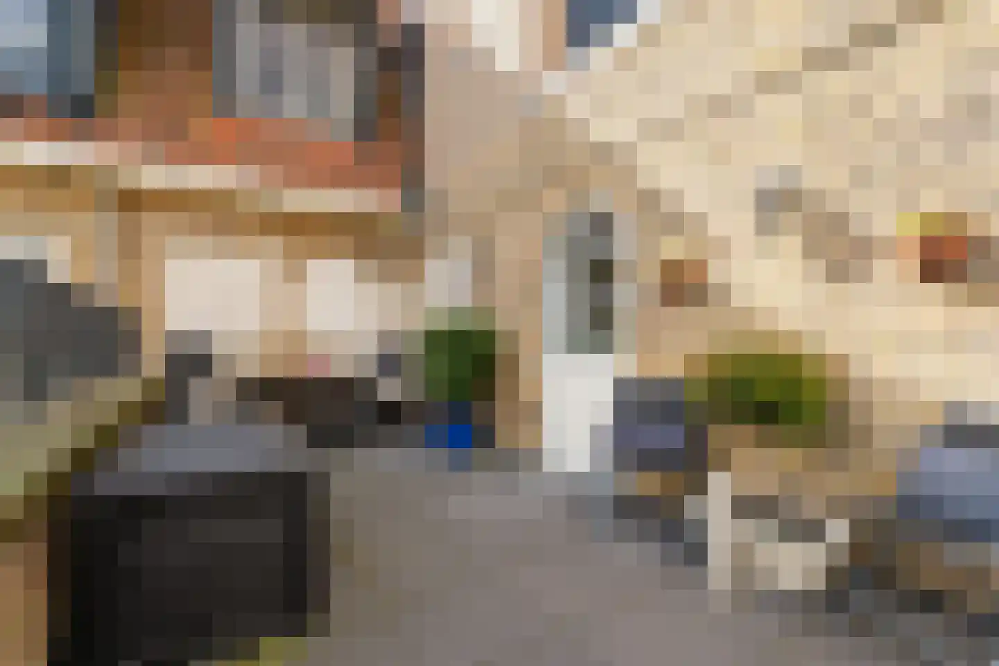 Oostwal 32 C Ootmarsum thumbnail 18