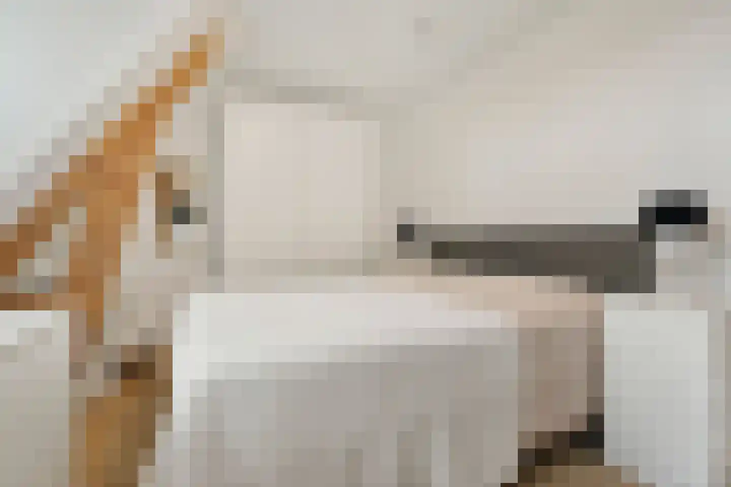 Oostwal 32 C Ootmarsum thumbnail 22