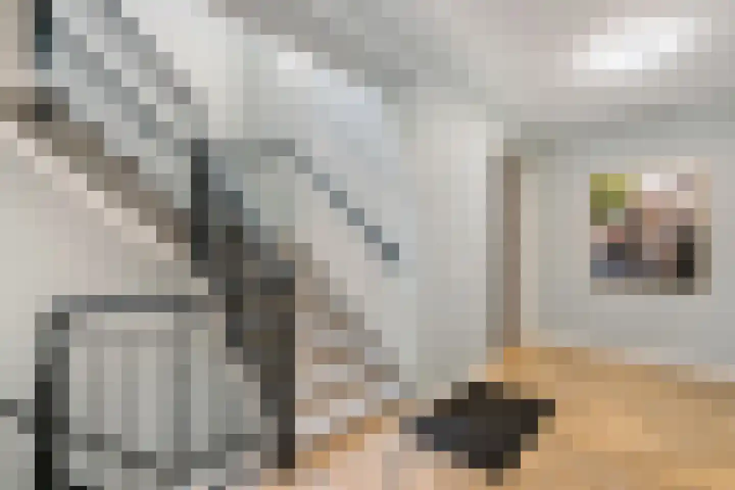 Oostwal 32 C Ootmarsum thumbnail 31