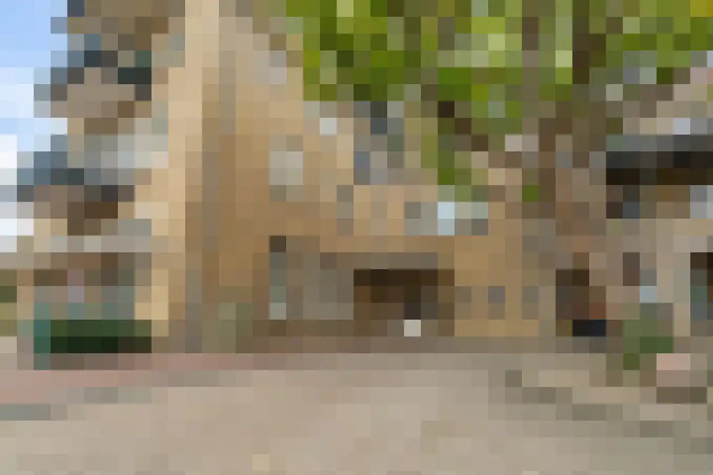 Oostwal 32 C Ootmarsum thumbnail 34