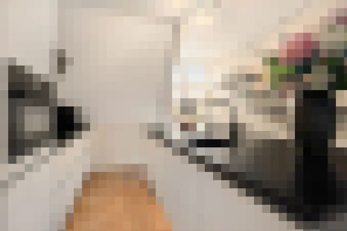 Oostwal 32 C Ootmarsum thumbnail 4