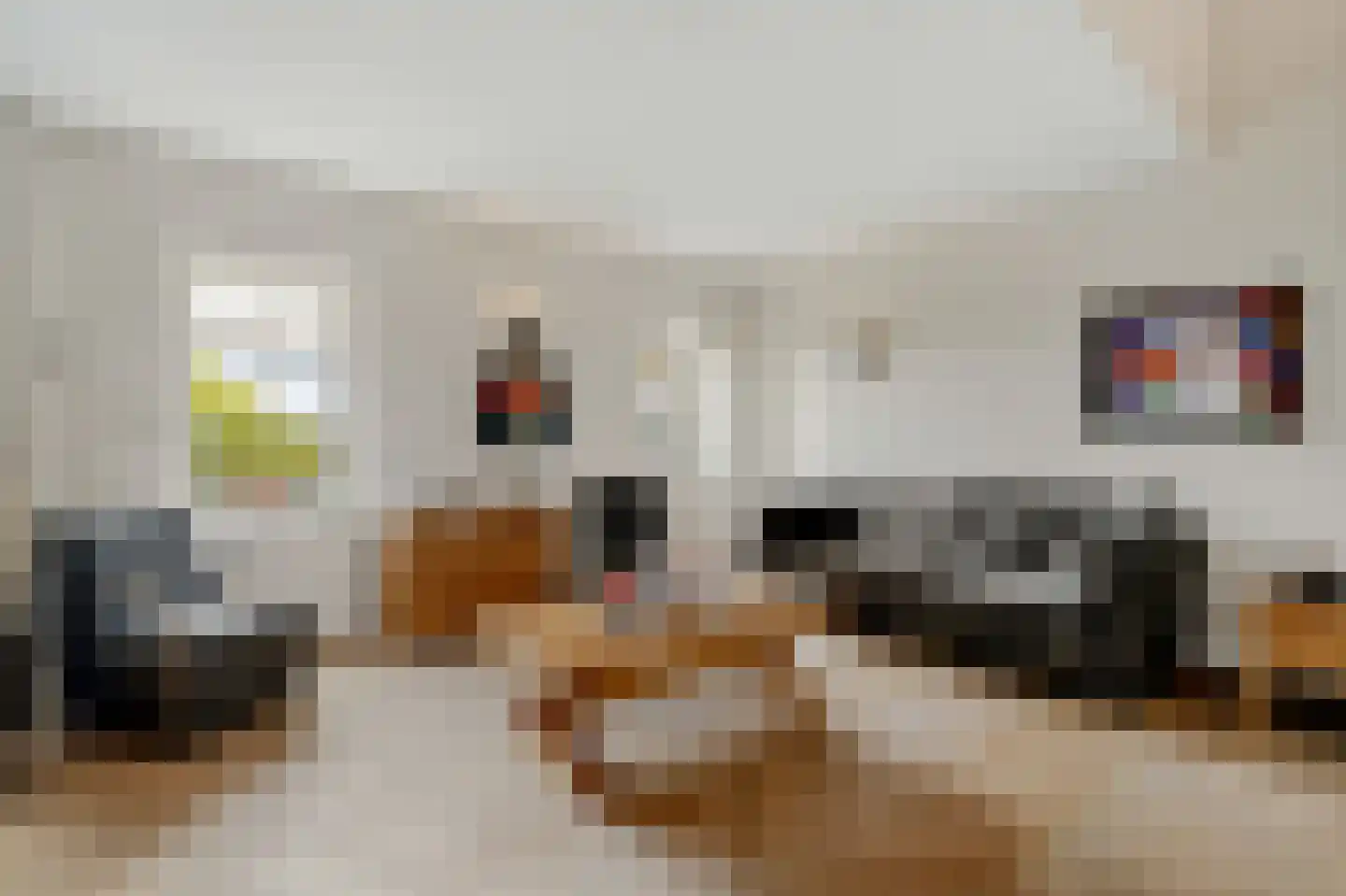 Oostwal 32 C Ootmarsum thumbnail 5