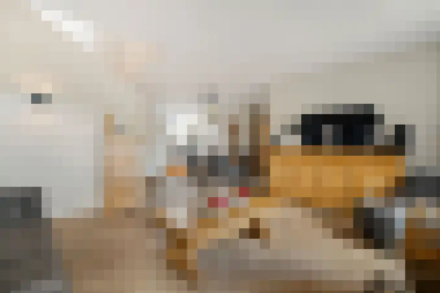 Oostwal 32 C Ootmarsum thumbnail 6