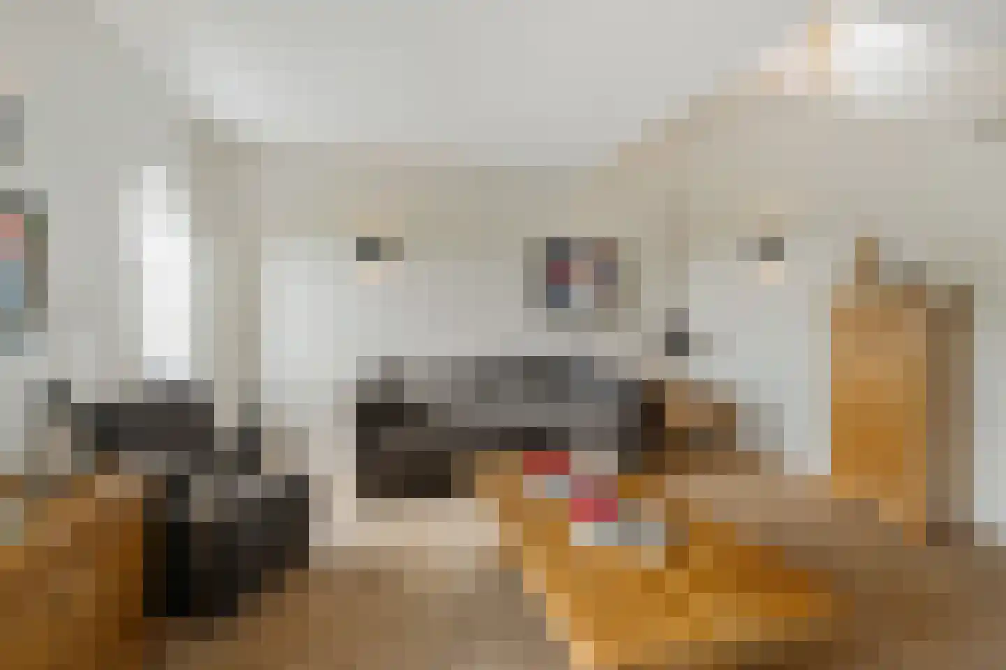 Oostwal 32 C Ootmarsum thumbnail 8