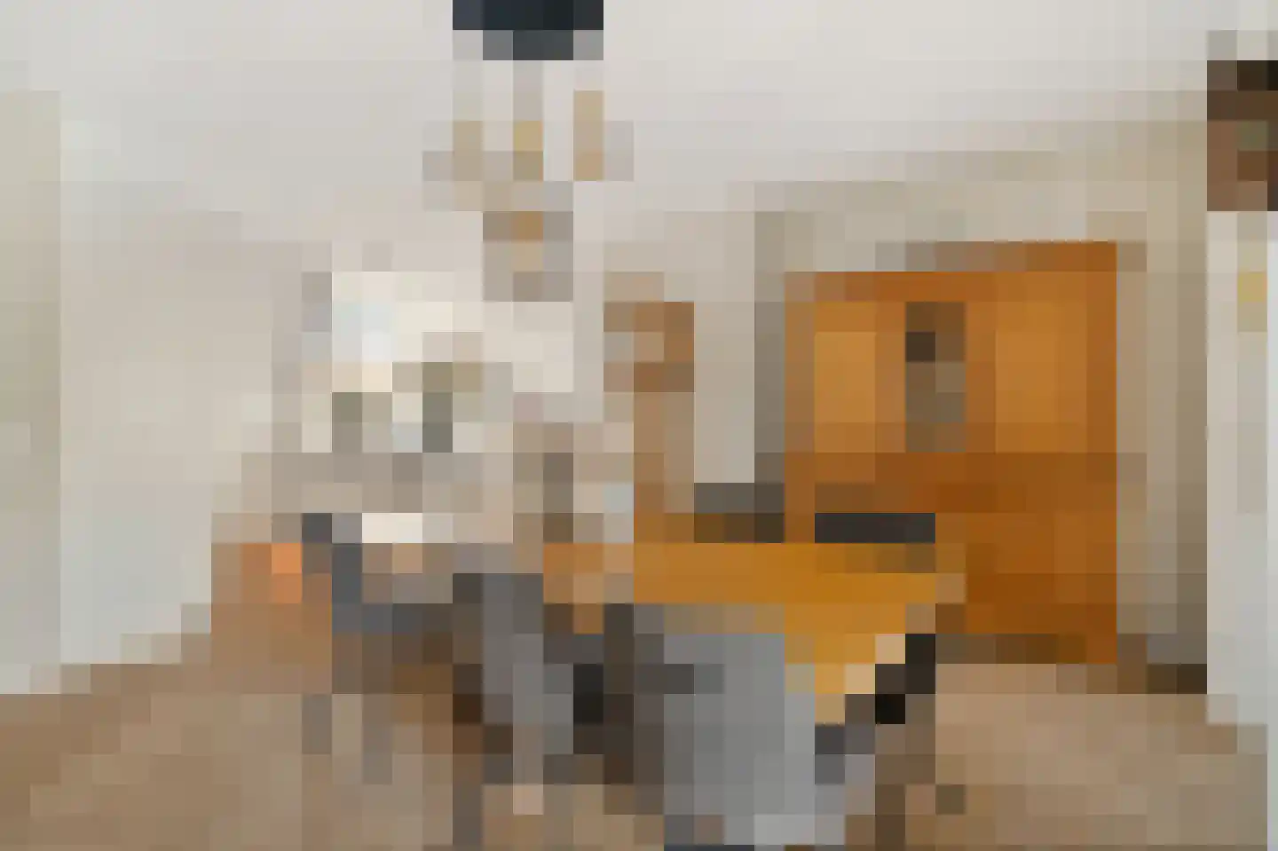 Oostwal 32 C Ootmarsum thumbnail 9