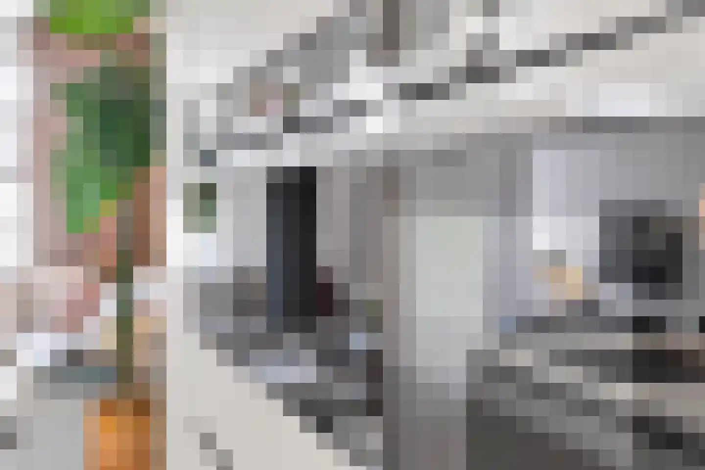 Oostwal 32 Ootmarsum thumbnail 17