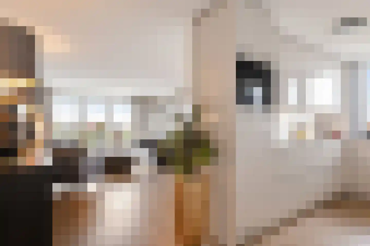 Oostwal 321 Oss thumbnail 18