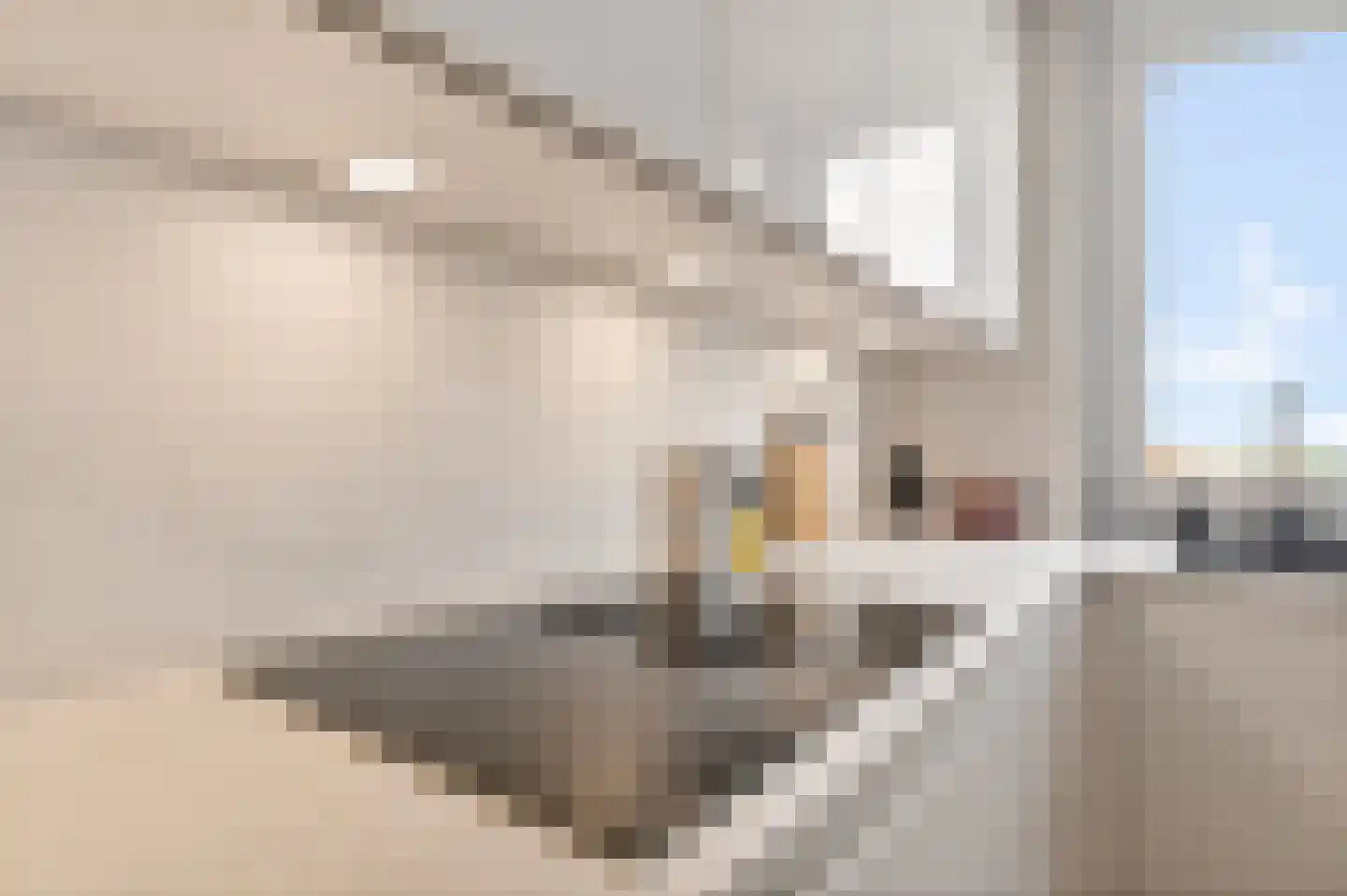 Oostwal 321 Oss thumbnail 21