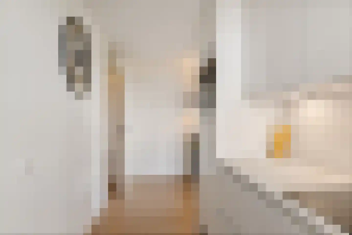 Oostwal 321 Oss thumbnail 22