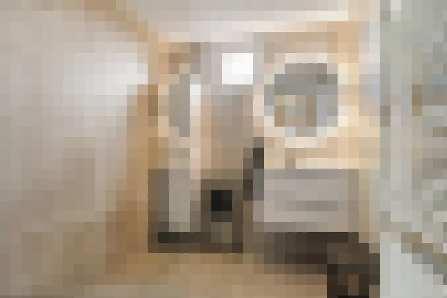 Oostwal 321 Oss thumbnail 5