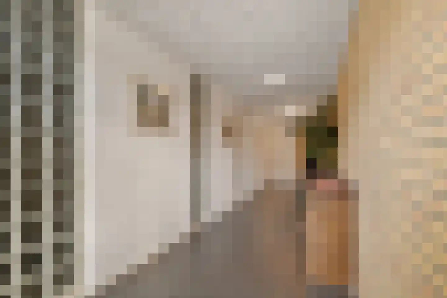 Oostwal 321 Oss thumbnail 8