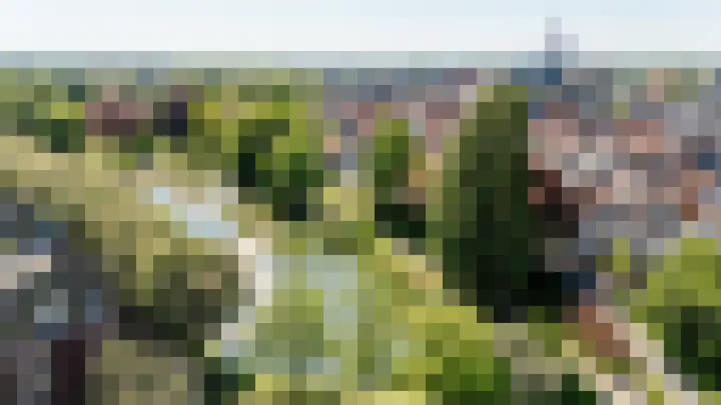 Oostwal 34 05 Goes thumbnail 36