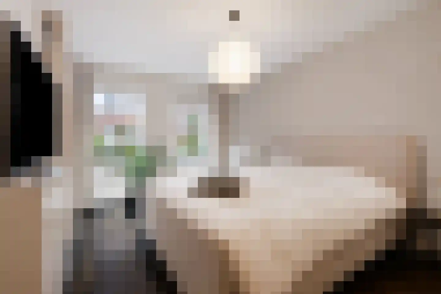 Oostwal 34 D 's-Hertogenbosch thumbnail 12