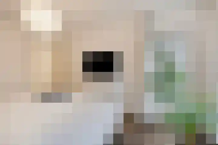 Oostwal 34 D 's-Hertogenbosch thumbnail 13