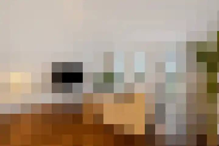 Oostwal 34 D 's-Hertogenbosch thumbnail 4
