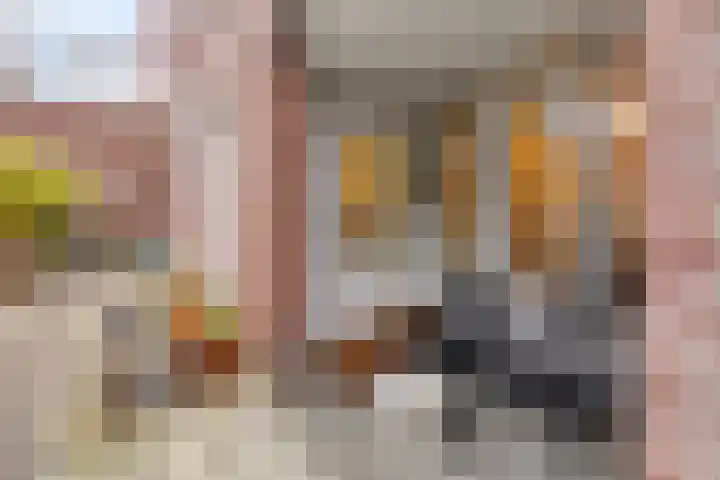 Oostwal 34 D 's-Hertogenbosch thumbnail 5