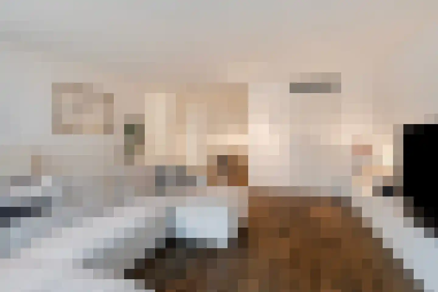 Oostwal 34 D 's-Hertogenbosch thumbnail 7