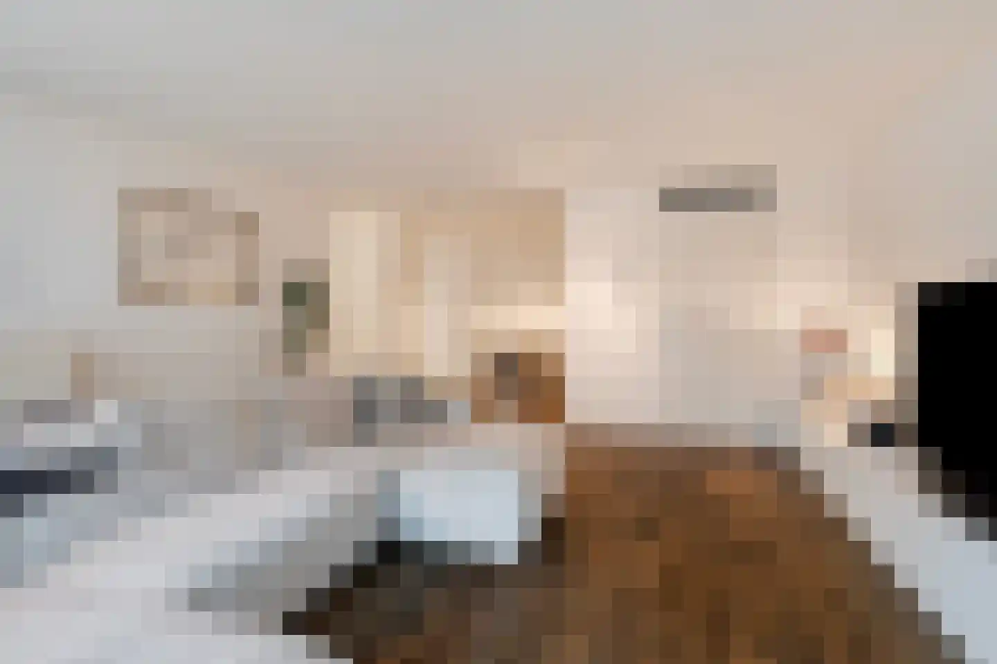 Oostwal 34 D 's-Hertogenbosch thumbnail 7