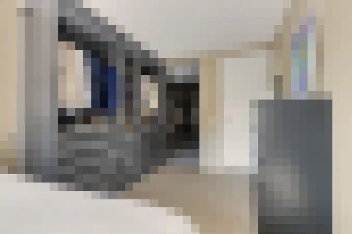 Oostwal 34 Goes thumbnail 18