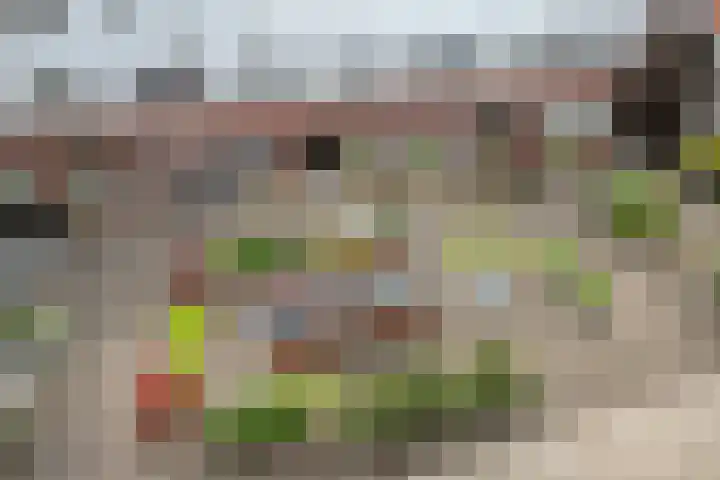 Oostwal 36 H 's-Hertogenbosch thumbnail 20