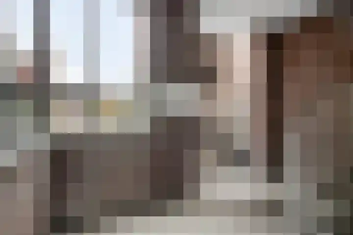 Oostwal 36 H 's-Hertogenbosch thumbnail 23