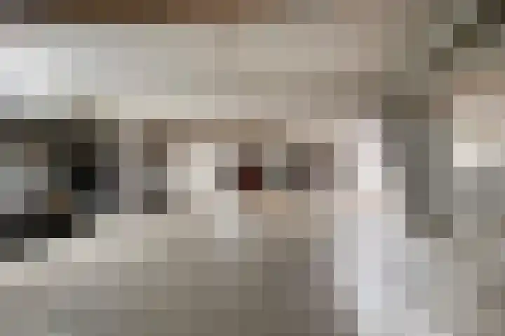 Oostwal 36 H 's-Hertogenbosch thumbnail 24