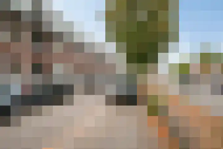 Oostwal 36 H 's-Hertogenbosch thumbnail 26