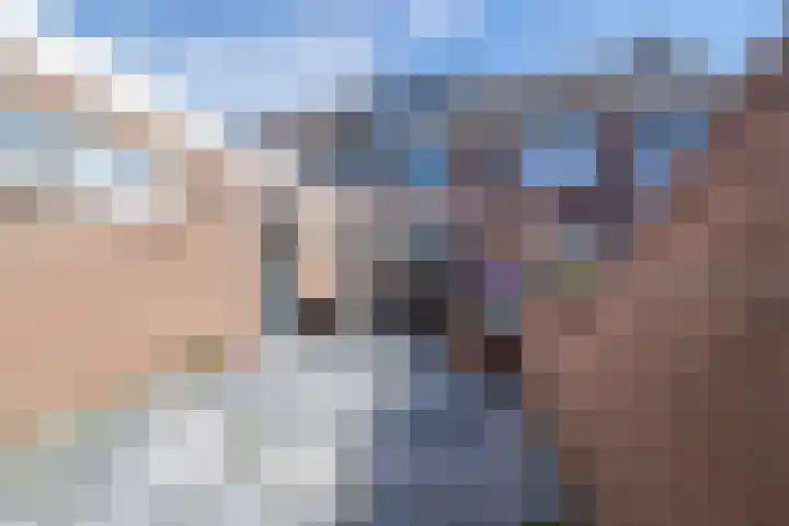 Oostwal 4 Volendam thumbnail 4