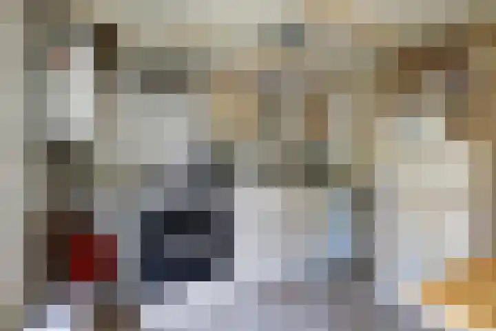 Oostwal 43 Goes thumbnail 11