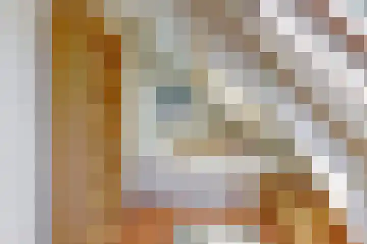 Oostwal 43 Goes thumbnail 13