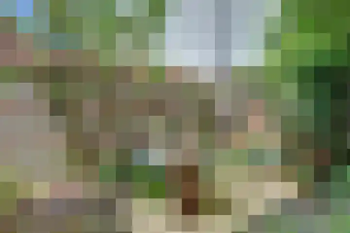 Oostwal 43 Goes thumbnail 19