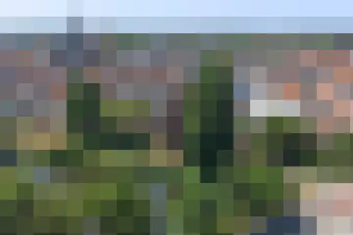 Oostwal 43 Goes thumbnail 23