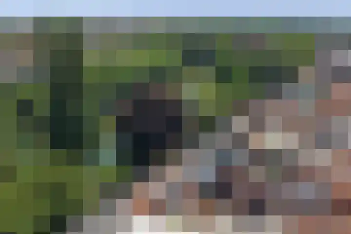 Oostwal 43 Goes thumbnail 24