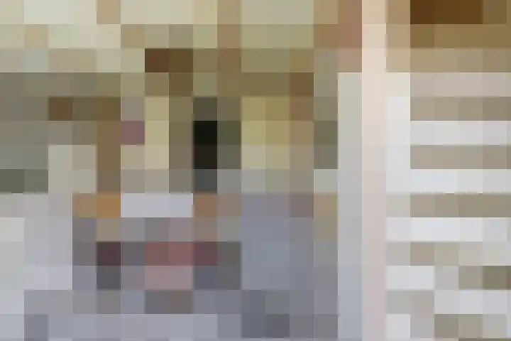 Oostwal 43 Goes thumbnail 9