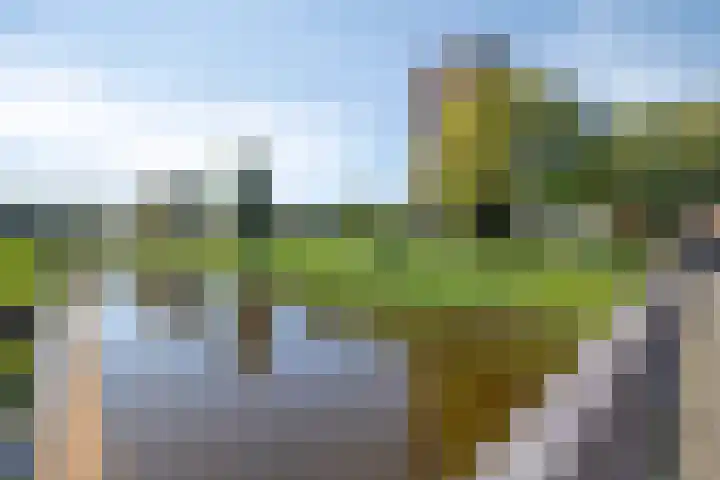 Oostwal 46 's-Hertogenbosch thumbnail 18