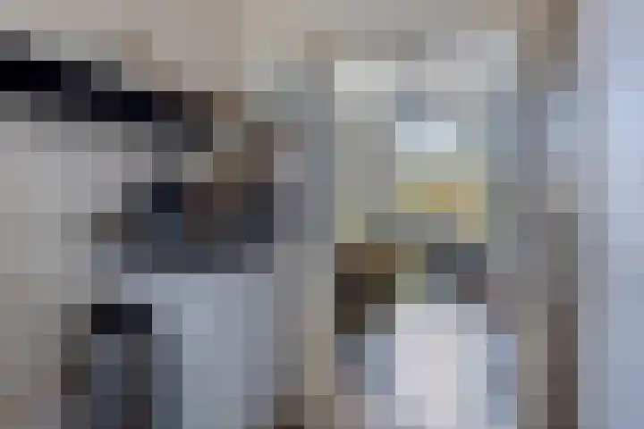 Oostwal 46 's-Hertogenbosch thumbnail 6