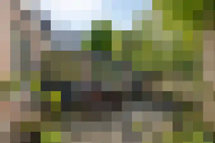Oostwal 46 's-Hertogenbosch thumbnail 9