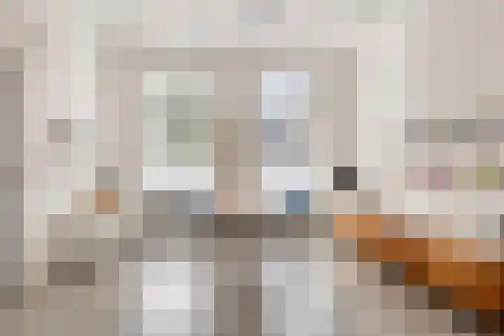 Oostwal 5 Oldenzaal thumbnail 10
