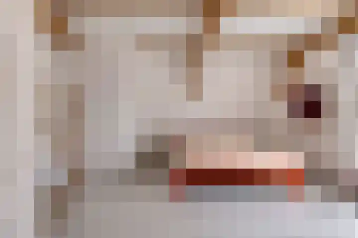 Oostwal 5 Oldenzaal thumbnail 18