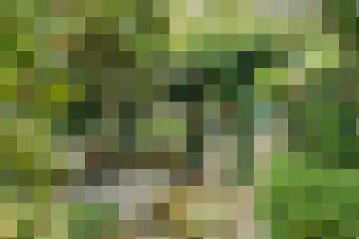 Oostwal 5 Oldenzaal thumbnail 29