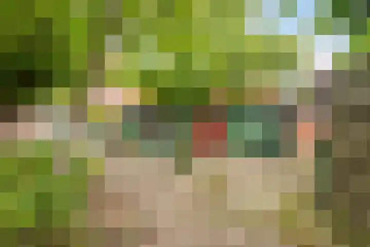 Oostwal 5 Oldenzaal thumbnail 30