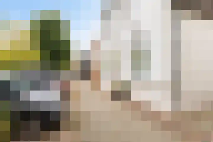 Oostwal 5 Oldenzaal thumbnail 33