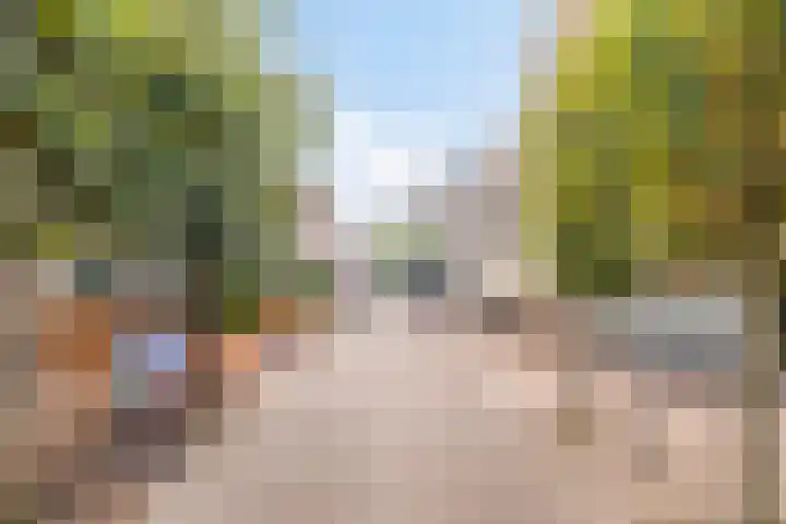 Oostwal 5 Oldenzaal thumbnail 34