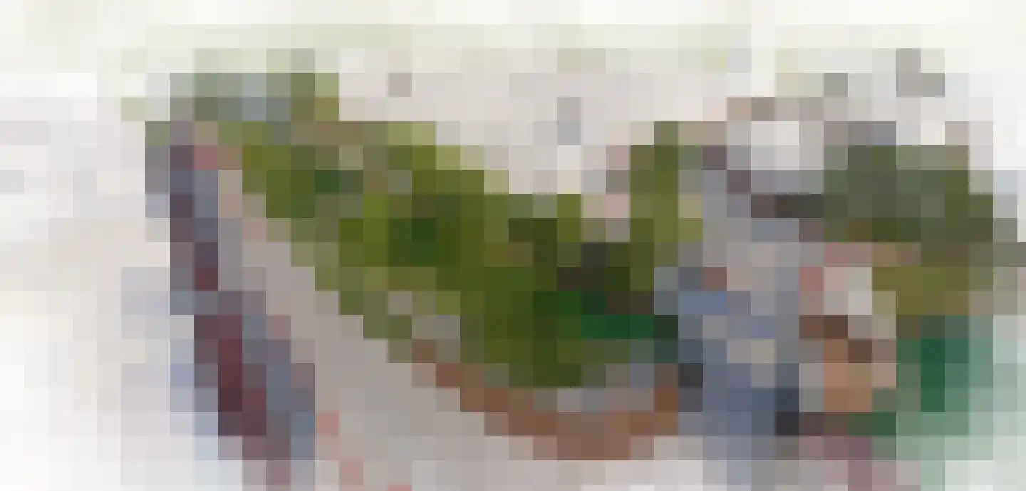 Oostwal 6 A 's-Hertogenbosch thumbnail 39
